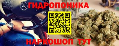 гидра Моздок