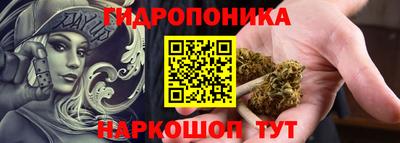 кокс Можга